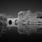 IMG_0424