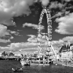 IMG_0329
